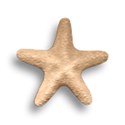 starfish 2
