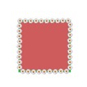 daisy_frame 1
