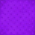 paper purple 05