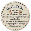 Define It #1 - Blossom