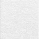 paper white 02 copy