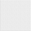 paper white 04 copy