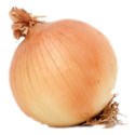 toasted-onion