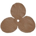 flowerbrown3