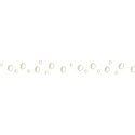 pearlborderwhite