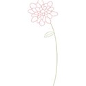flowerpink