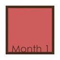 framemonth1