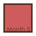 framemonth5