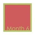 framemonth6