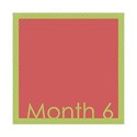 framemonth6