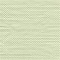 paperpolka4