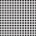 Black squares21