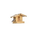 bird house 1