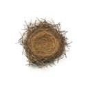 bird_nest