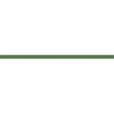 Green Ribbon
