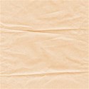 SI_ZooFun_paper02