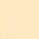 MLIVA_shells-PP7