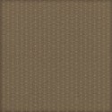 MLIVA_shells-PP8
