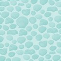 MLIVA_shells-PP13