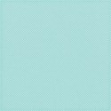 MLIVA_shells-PP4