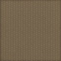 MLIVA_shells-PP8
