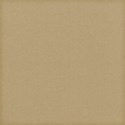 MLIVA_shells-solid3