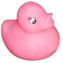 rubberduckpink2