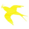 Yellow bird 3