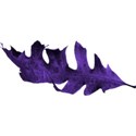 leaf purple 2