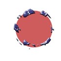 fish_frame_2