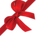 ribbon