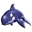 Whale