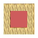 square  zebra frame