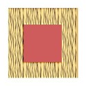 square  zebra frame