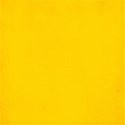MLIVA_racecar-solid4