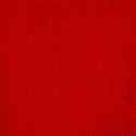 MLIVA_racecar-PP7