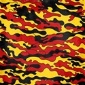 MLIVA_racecar-PP12