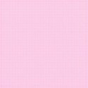 MLIVA_eggs-PP17