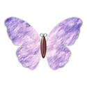 shellychua_flowermedley_butterfly_2