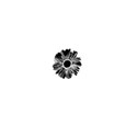 Single Black Flower