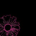 Black with Pink Flower Outline - lower left