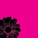 Pink with Black Flower - lower left