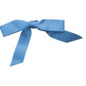 BOW4_autism_mikki_livanos