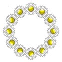 circle daisy 01 yellow