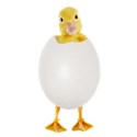 duck in egg