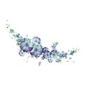 floral cluster