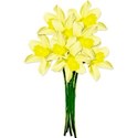 daffodils 01