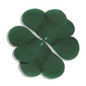 clover leaf