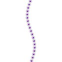 seperator 10 purple