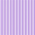 paper 43 many stripes purple